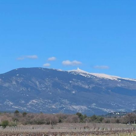 Mon Ventoux Villa Modene Екстериор снимка